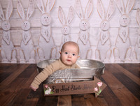 Hudson 6th months